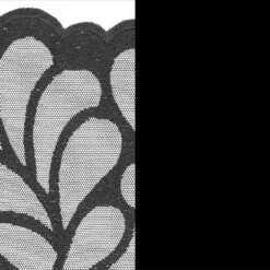 PrimaDonna Twist Aprodisia 0242162 Unterlegter Außenträger-BH Schwarz 75C -Badeanzug Verkäufe 2024 def8a8907e5433a8bbb3f71aaebc146a fa 4216 zwa 2479x1075px98445 1x1 1